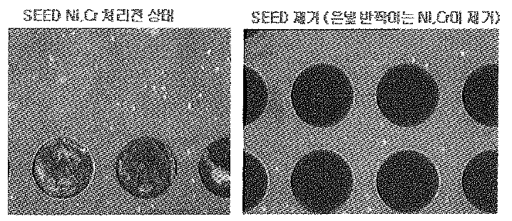 SEED ETHCING 양품 / 불량 시료