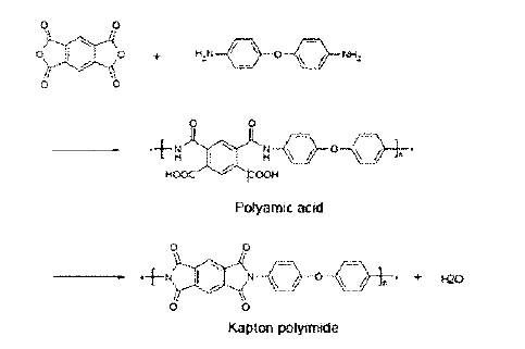 Kapton 폴리이미드의 합성과정