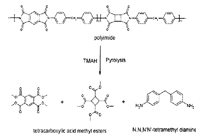PMDA, CBOA, MDA로 구성된 폴리이미드의 반응형 열분해 과정