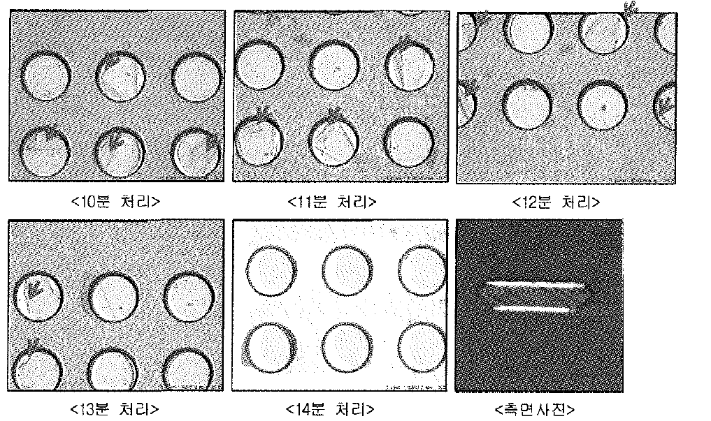 POLYMER ETCHING 시간대별 현상 사진