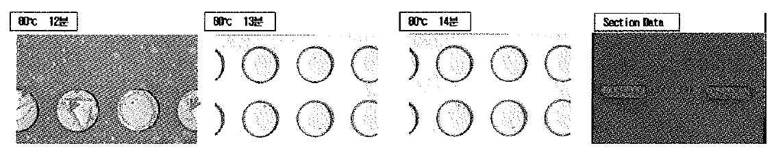 80C 시간대별 에칭 현상 사진