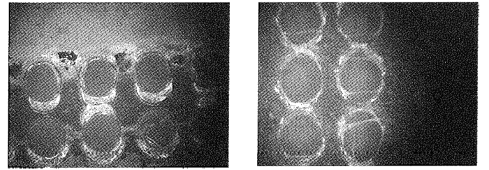 POLYMER ETCHING 후 가공이 완료된 면 COPPER제거 사진