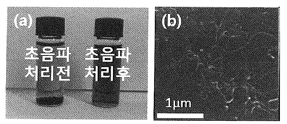 유기용매에 분산된 CNT의 SEM image