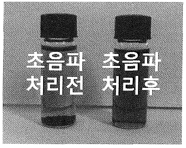 유기용매에 분산된 CNT