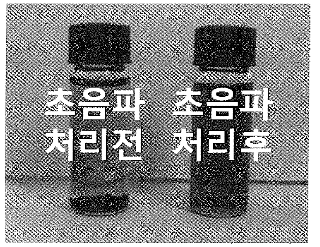 유기용매에 분산된 CNT