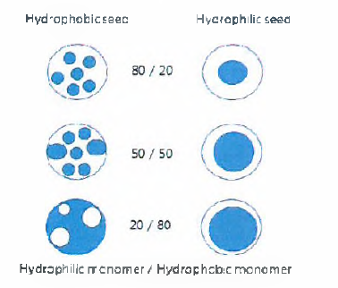 Seed Polymerization에서 친수와 소수성모너머의 함량에 따른 입자의 형태