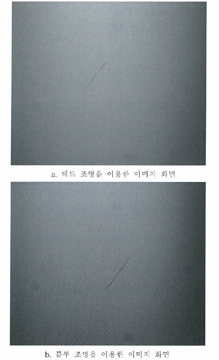 레드와 블루 조명을 이용하여 획득한 결함 이미지