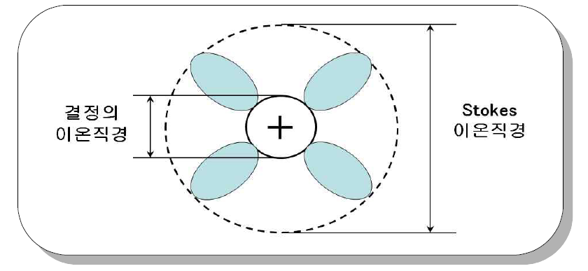 용매화와 스토크 직경