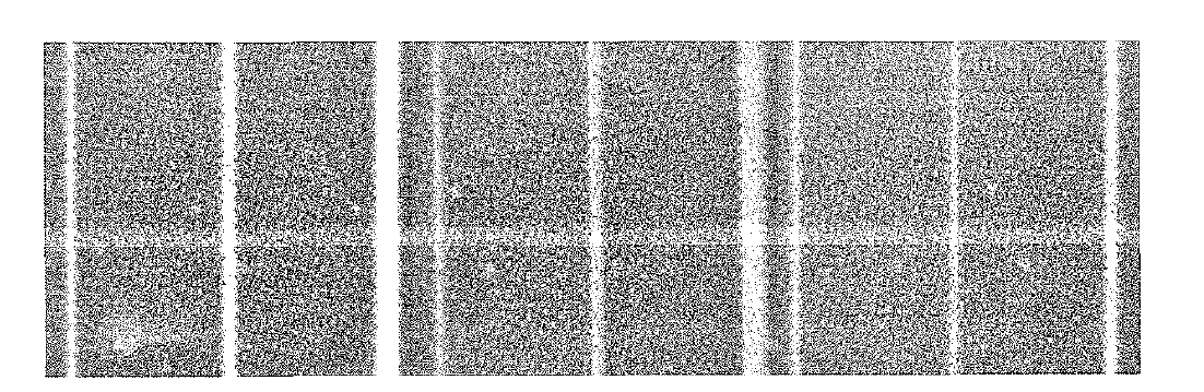 HP 제품 출력 확대 50배 제품