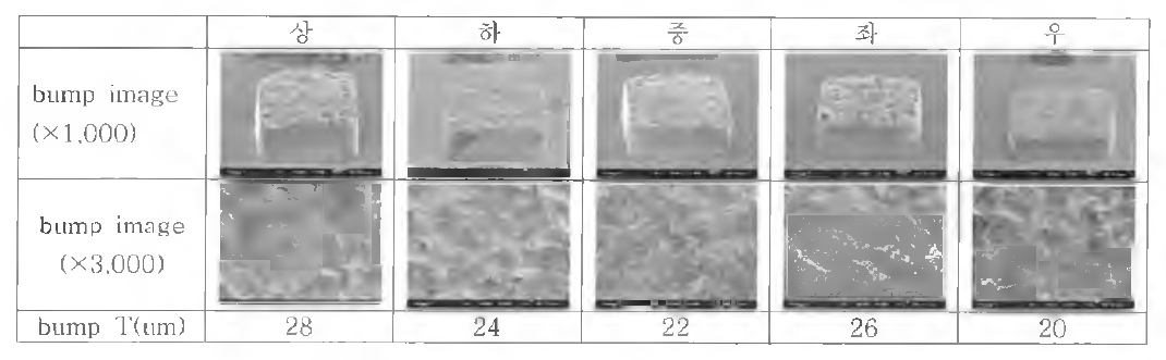 도금 진행 후 범프 형상 (SEM)