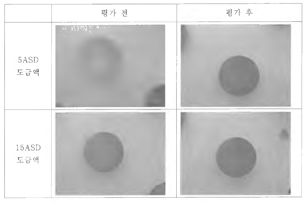 도금 평가 전과 후 PR 형상