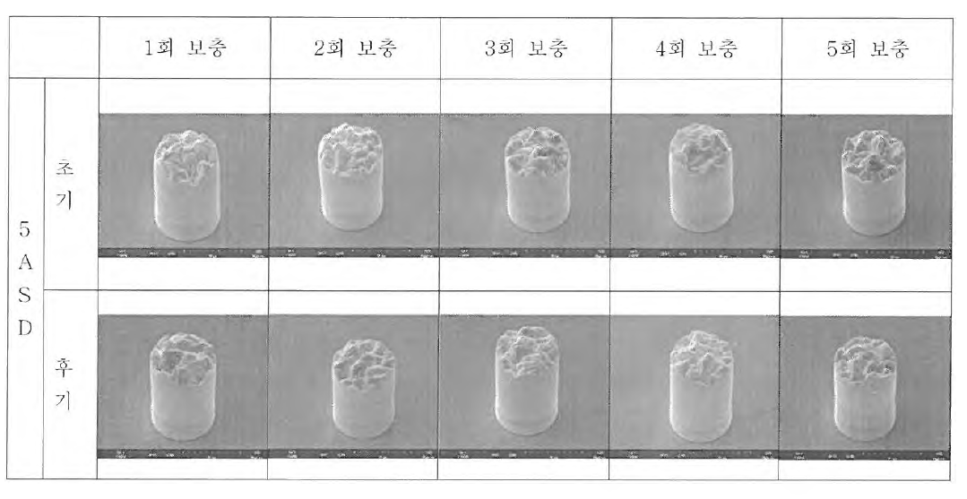 5ASD 도금 진행 후 범프 형상