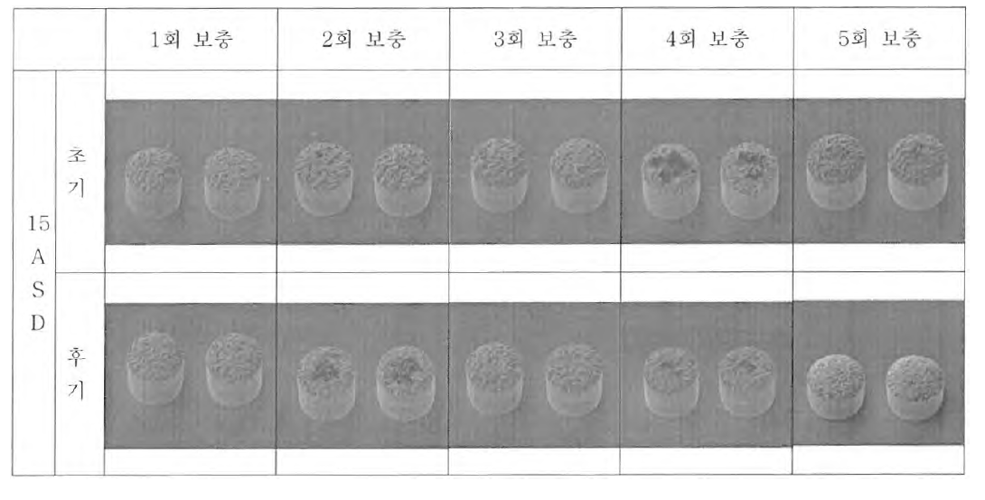 15ASD 도금 진행 후 범프 형상