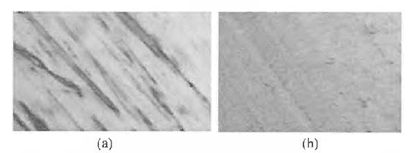 (a) D2 specimen surface before UNSM treatment and (b) D2 specimen surface after UNSM treatment