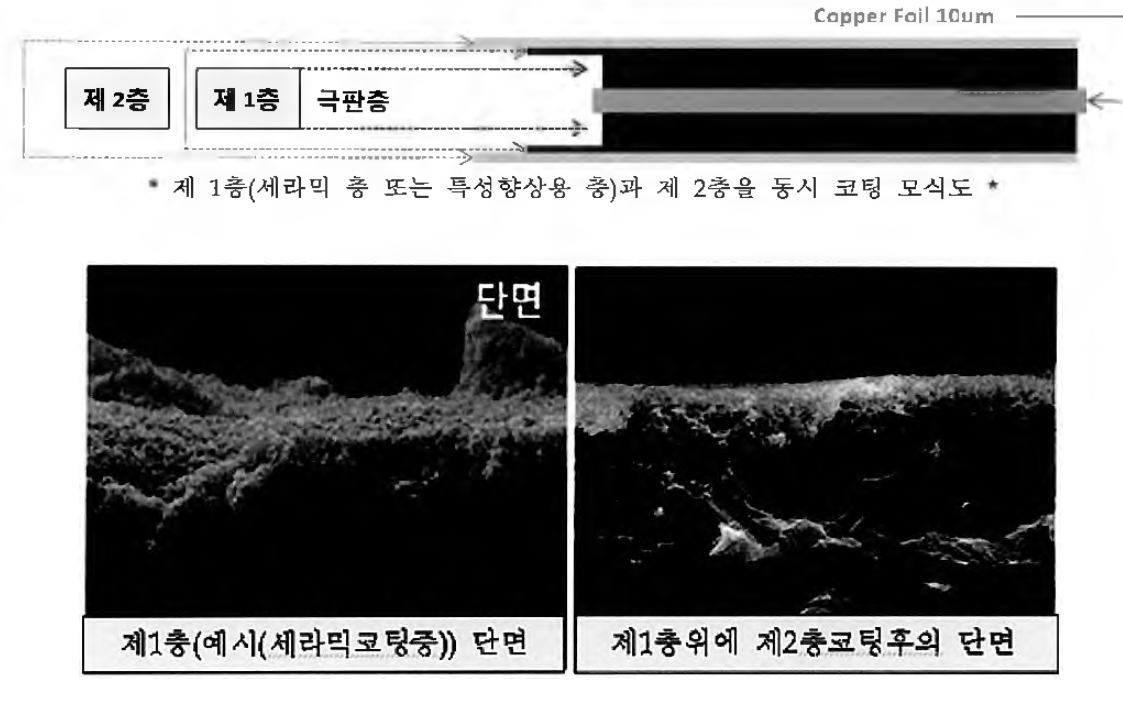 본 과제를 통해 개발하고자하는 이중코팅 층 모식도 및 SEM 사진