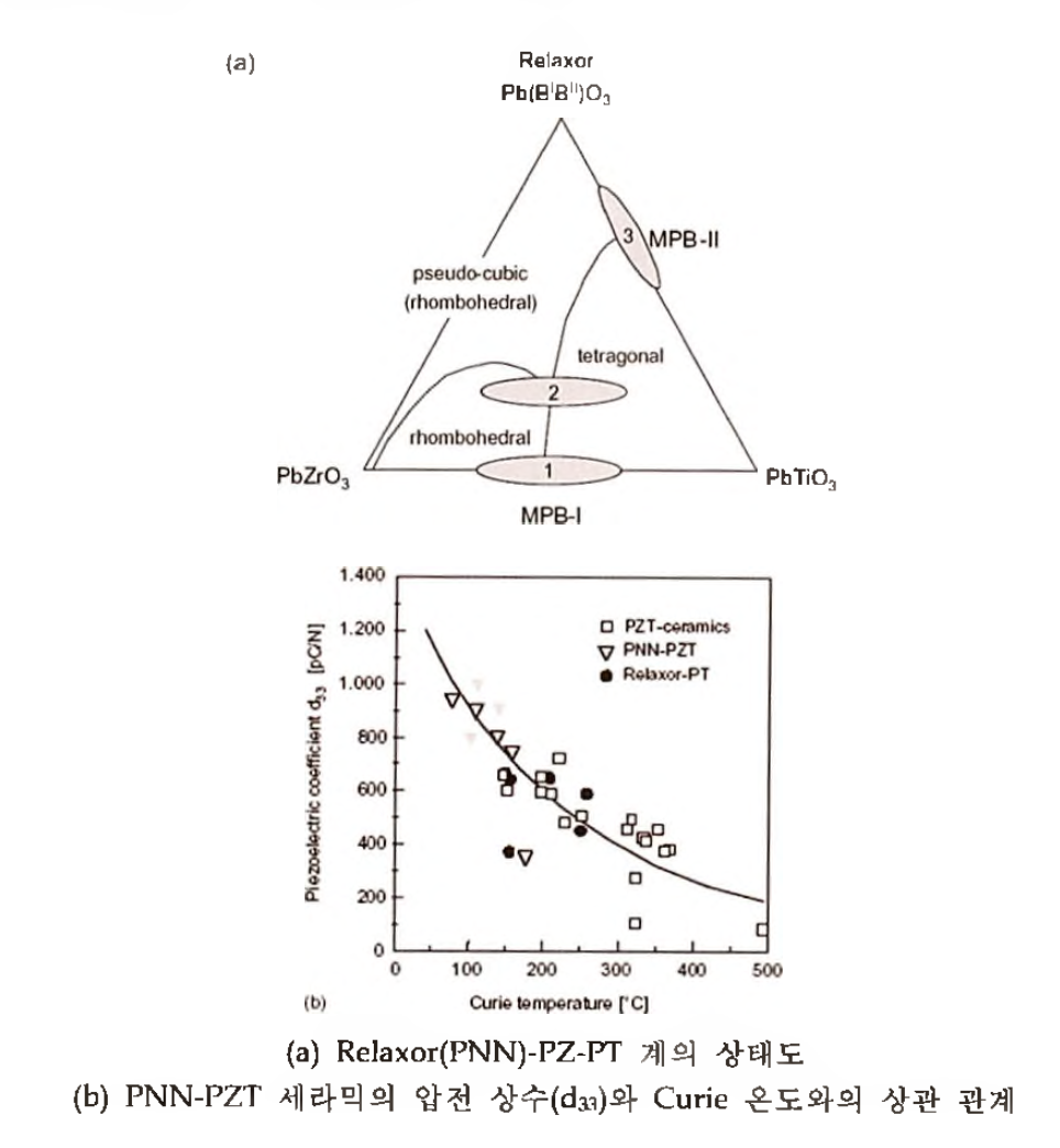 PMNPT 특성