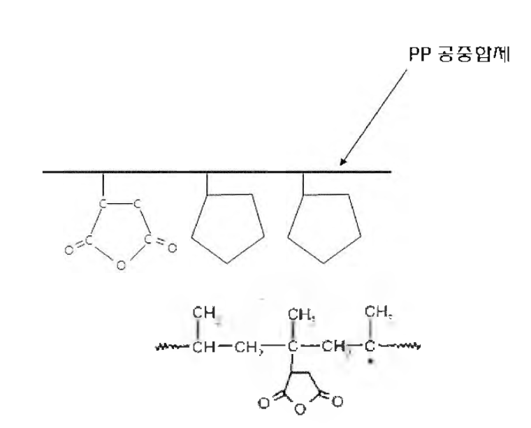 폴리프로필렌 수지의 무수말레인산의 그라프트중합 결합구조
