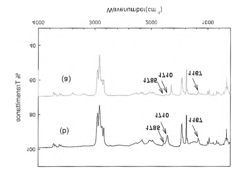 산변성 폴리프로필렌수지의 FT-IR 스펙트럼