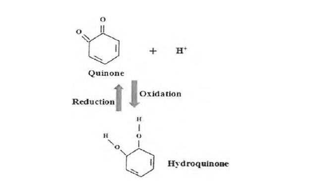 Quione/Hydroquione의 산화환원반응