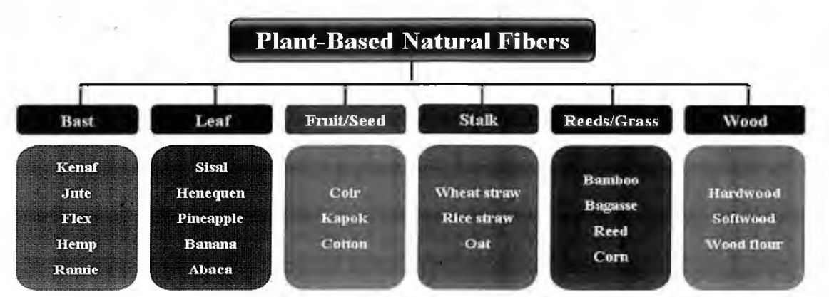 식물성 천연섬유의 분류