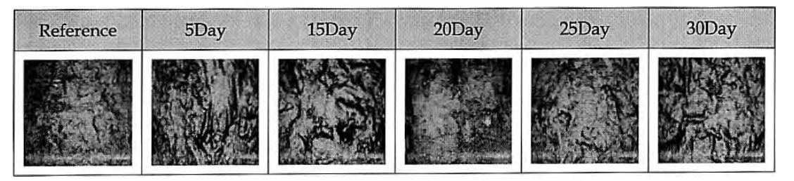 내열성 140℃ 에서의 표면상태 변화