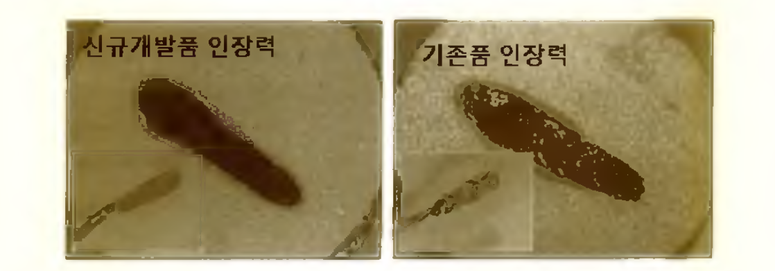 개발품과 기존품의 접착력(인장력) 측정 시료