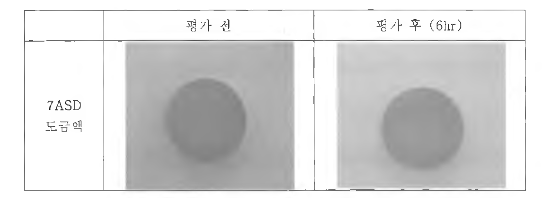 도금 평가 전과 후 PR 형상