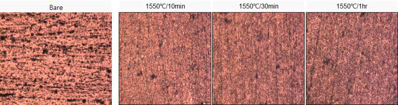 Bare와 SiC 코팅 금형의 표면 이미지<AFM 광학현미경