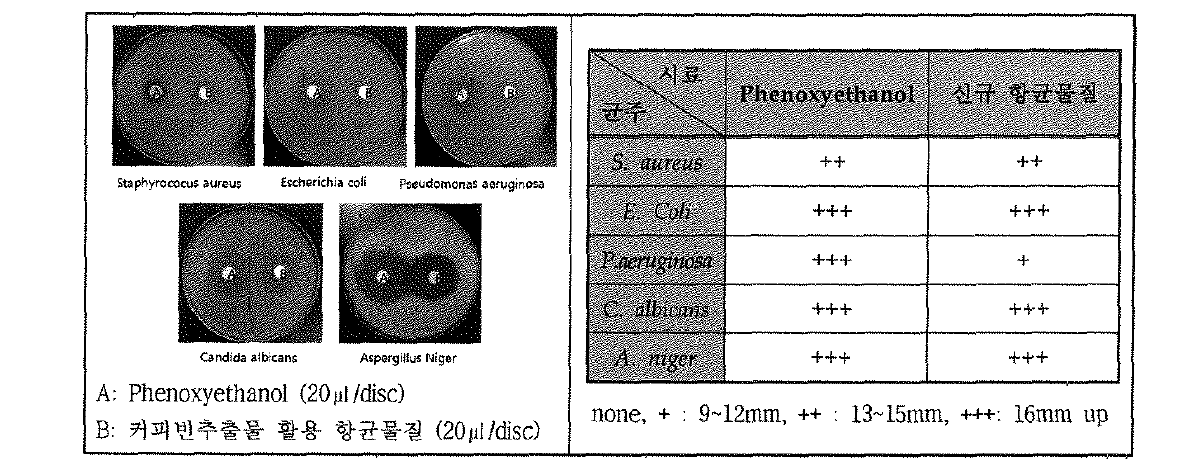 Phenoxyethanol과 커피빈 추출물 활용 항균물질의 Paper Disc 실험 결과