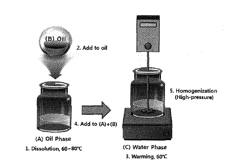 Manufacturing Process of Nano-emulsion