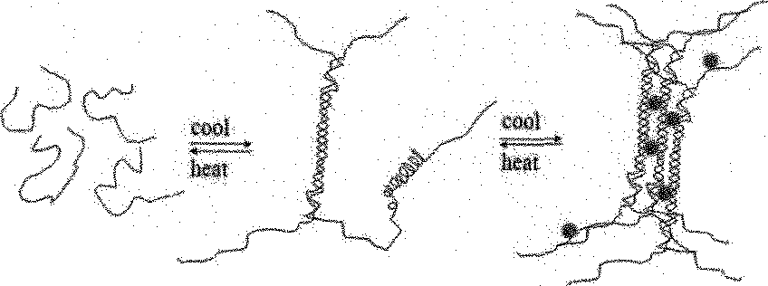 고분자 사슬끼리의 결정화에 의한 겔 형성