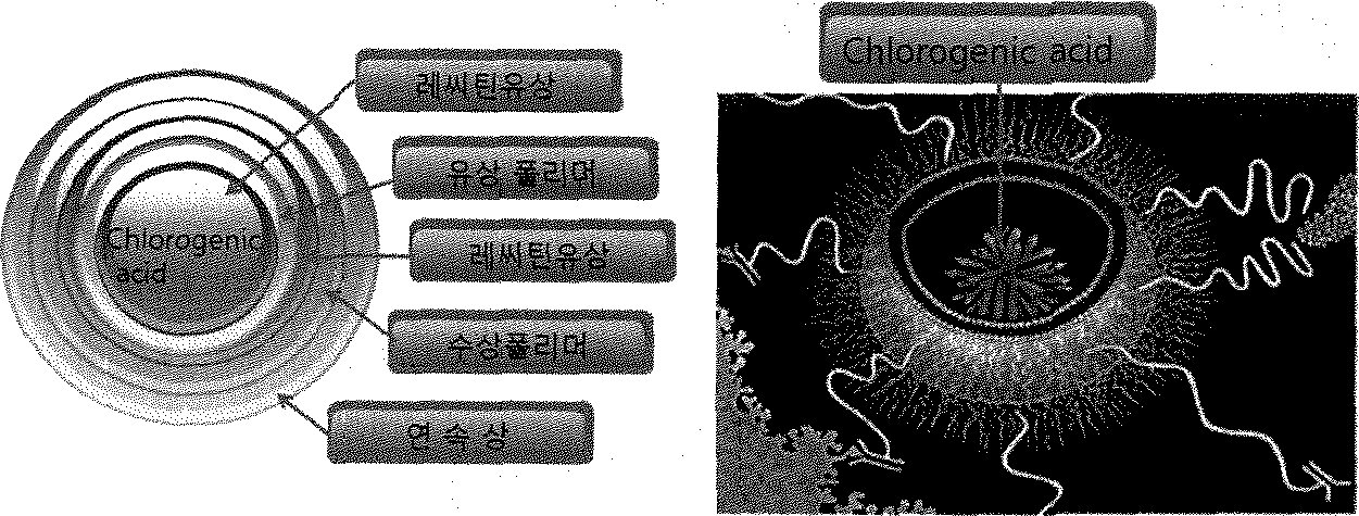 리포좀/캡슐레이션의 모식도