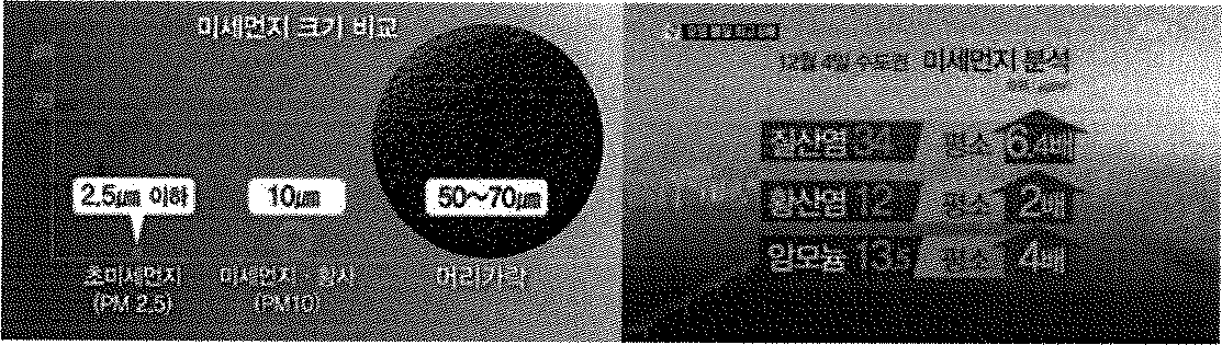 미세먼지 크기 비교