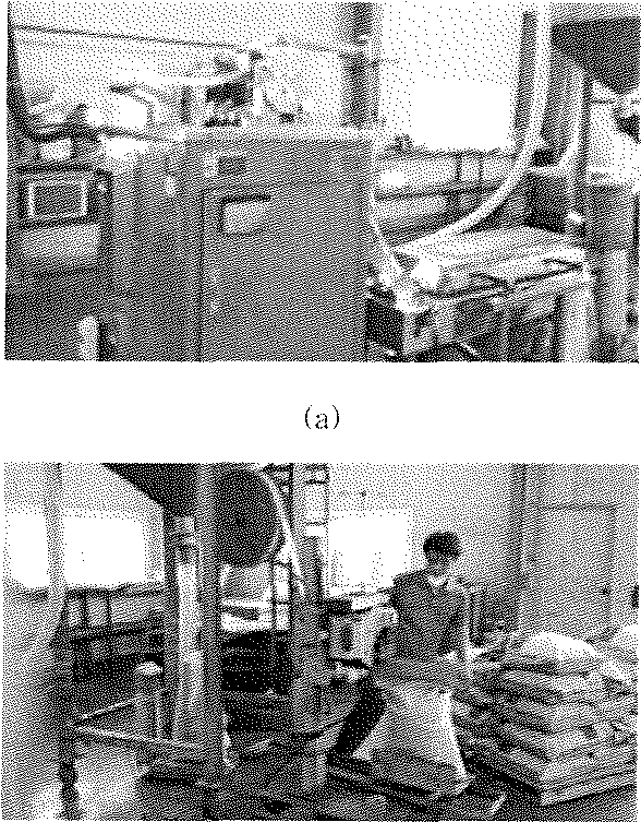 압출공정에서의 (a)펠렛타이징 및 (b)포장공정