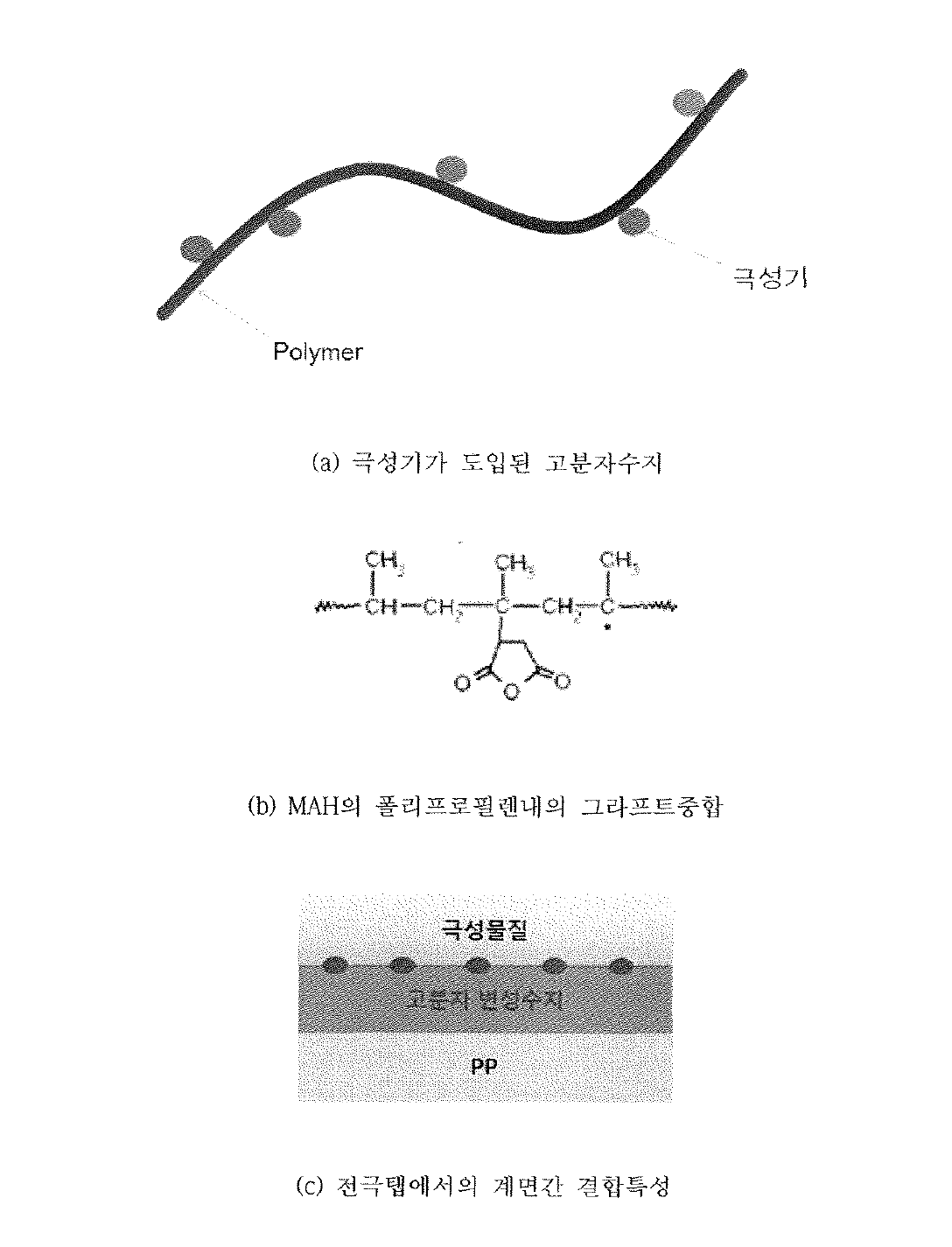 폴리프로필렌 수지과 무수말레인산에 의한 그라프트중합체 협성 및 전국탭에서의 접착메카니즘