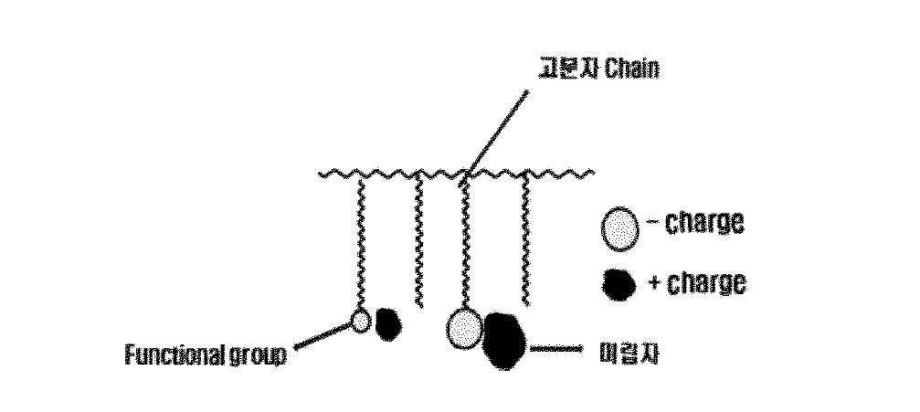 극성도에 따른 관능기와 미립자의 전기적 상호작용