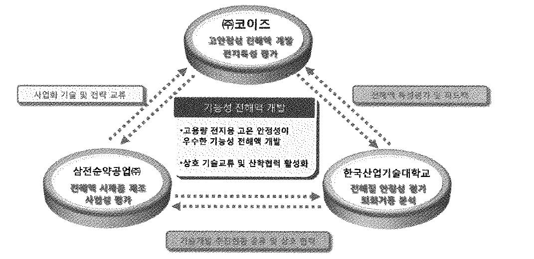 주관기관 및 참여기관 사이의 개발체계.