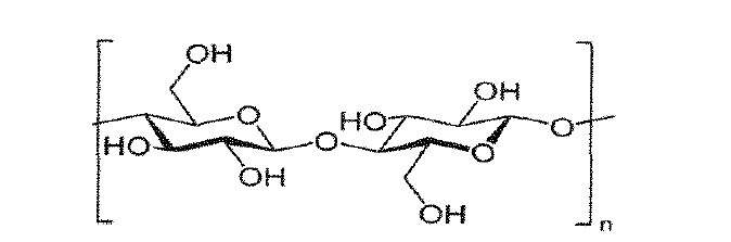 Cellulose의 사슬구조