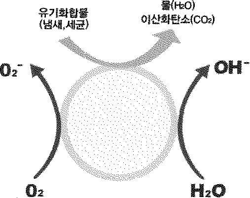 산화 반응 모식도