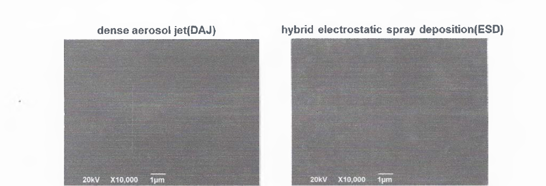 DAJ와 Hybrid ESD방식으로 코팅된 고분자 필름의 SEM 이미지