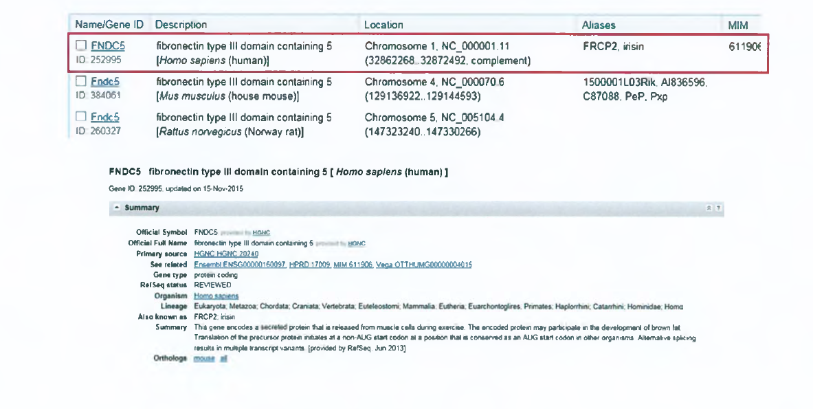 인간 FNDC5 검색정보