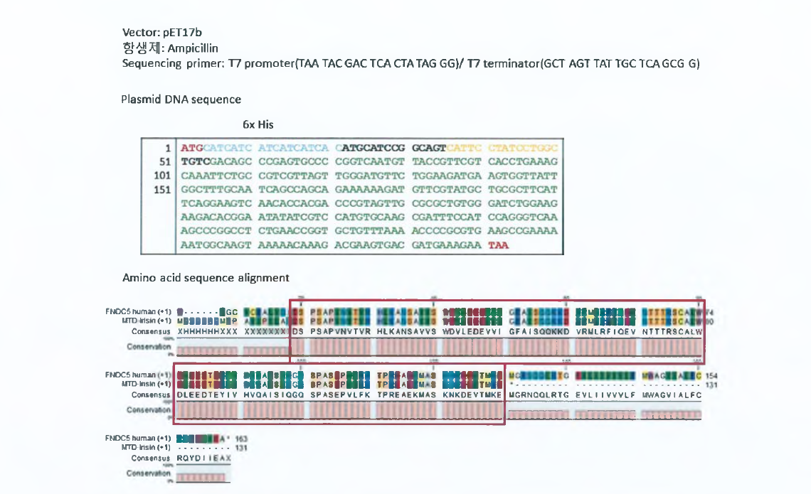 CTW-A 의 DNA 정보 및 Amino acid sequence alignment 결과