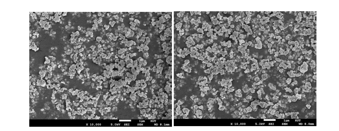 이산화티탄의 전자현미경 사진(좌측: 도핑 전, 우측: 도핑 후)