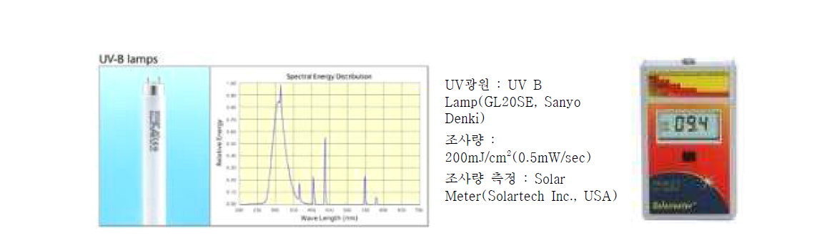 일광화상세포 발생용 UV B Lamp와 Solar Meter