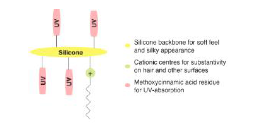 Schematic Structure of Polysilicone-19