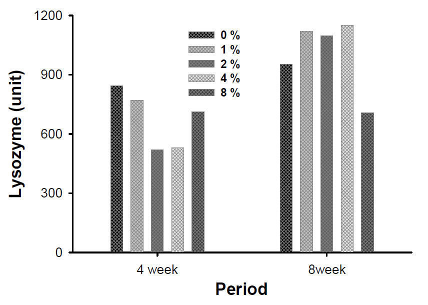 사육실험 4주 및 8주 후의 혈장 라이소자임 변화