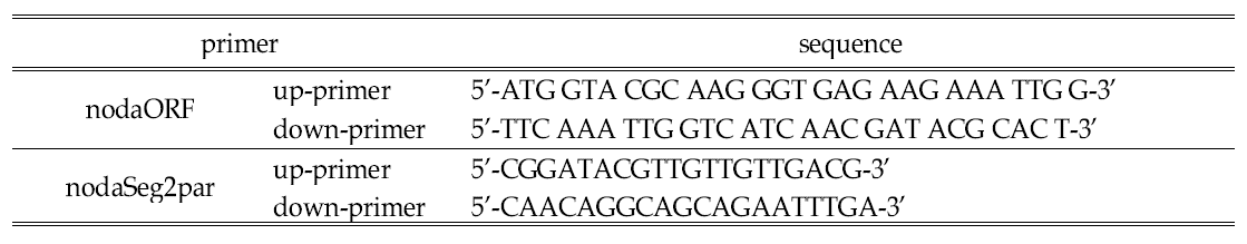 어류 노다바이러스 진단에 이용한 프라이머