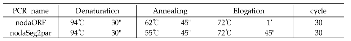 PCR 반응 조건