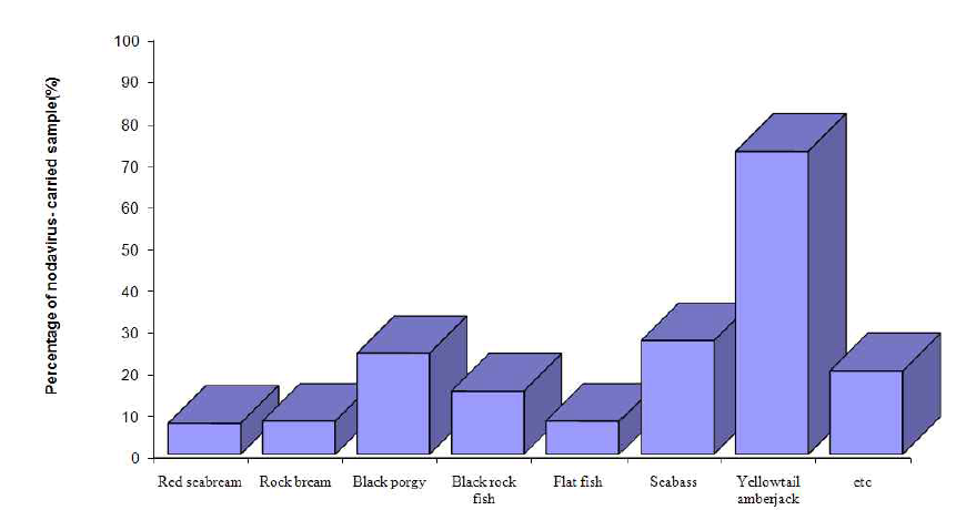 양식어종별 노다바이러스 보균율(PCR양성 개체수/어종별 총 개체수 × 100).