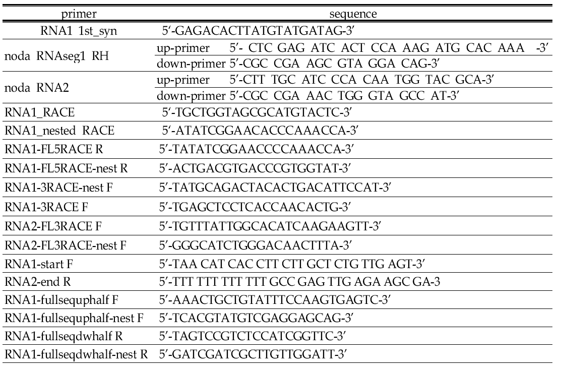 어류 노다바이러스 게놈유전자 클로닝을 위한 프라이머.